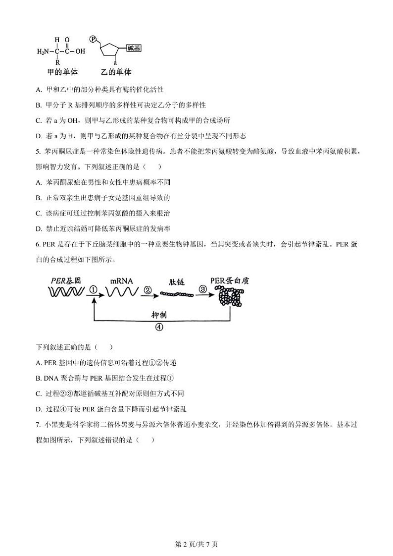 贵州省2024年高三年级下学期4月适应性考试 生物试题及答案02