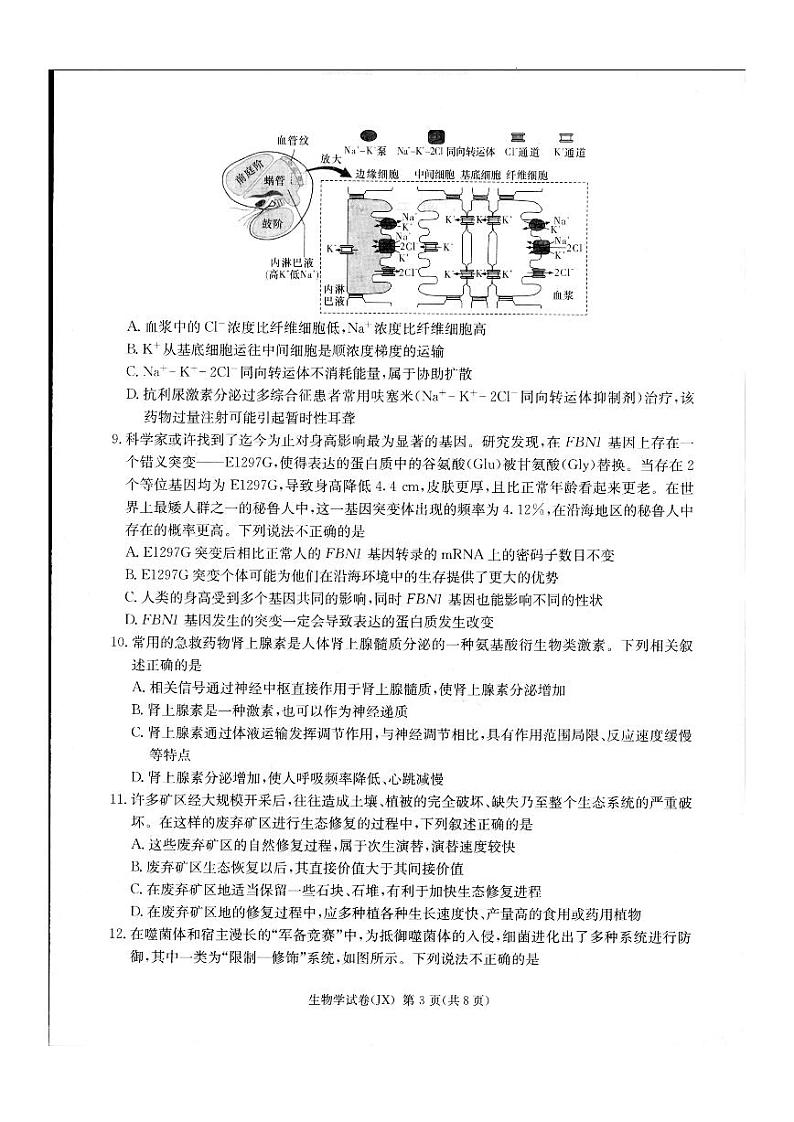 2024届新高考教学教研联盟高三第二次联考试卷生物第3页