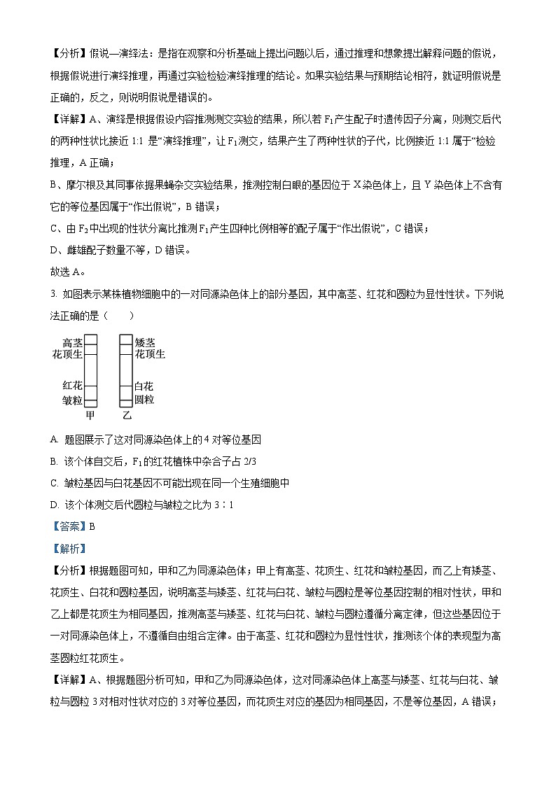 福建省厦门市湖里区双十中学2023-2024学年高一下学期4月月考生物试题（解析版）第2页