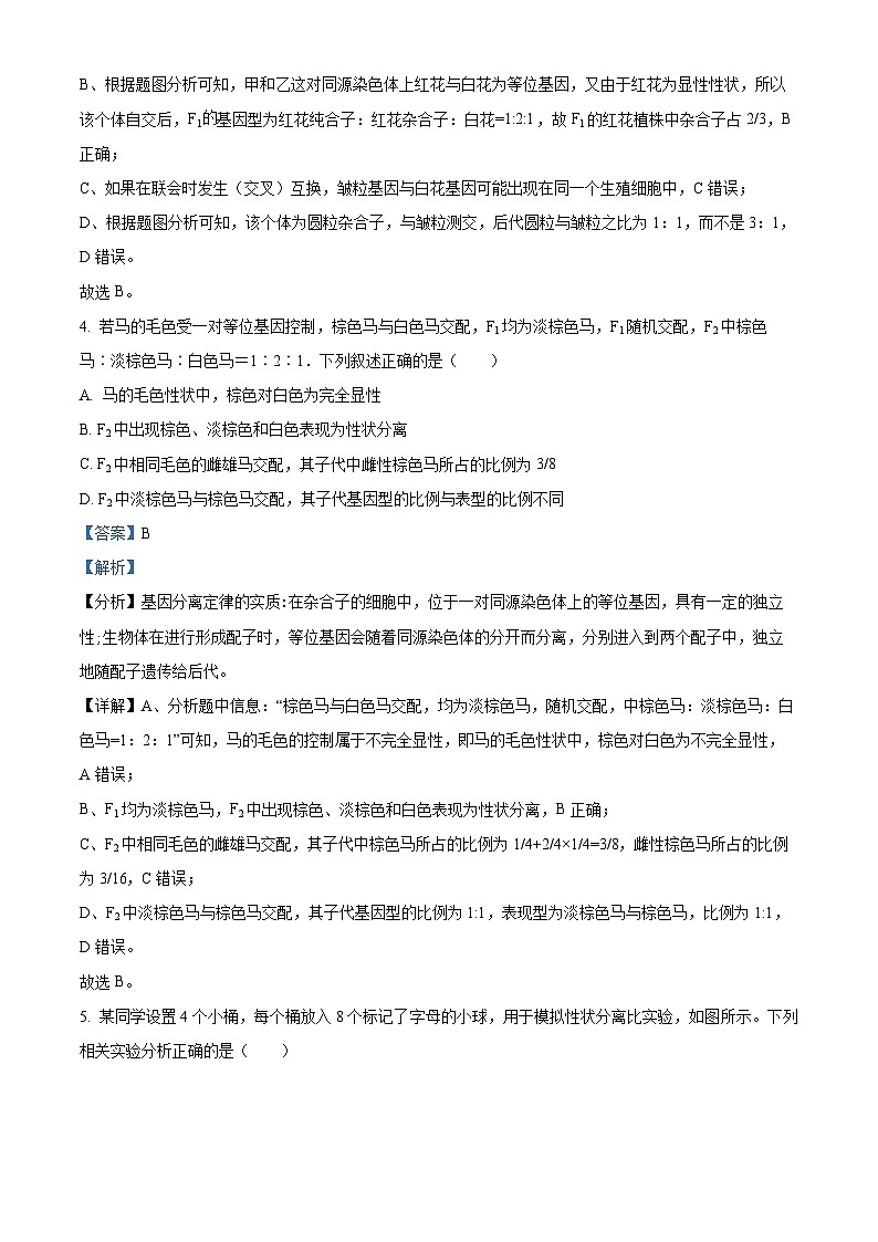 福建省厦门市湖里区双十中学2023-2024学年高一下学期4月月考生物试题（解析版）第3页
