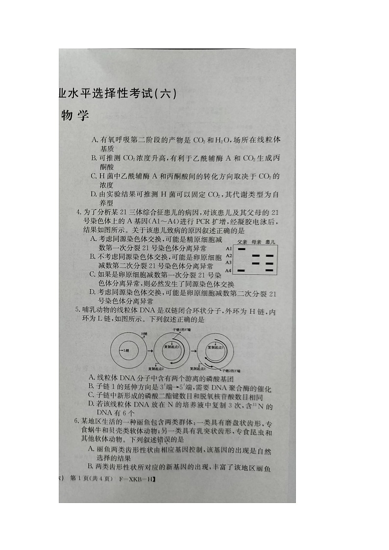 江西省鹰潭市贵溪市实验中学2023-2024学年高三下学期4月月考生物试卷02