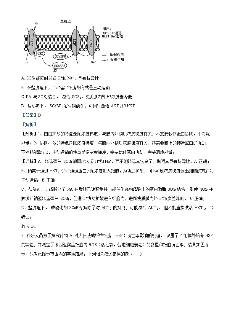 安徽省部分学校2024届高三下学期4月联考（二模）生物试卷（原卷版+解析版）02