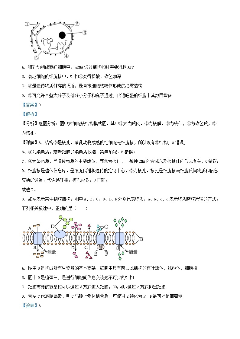 江苏省南京市2023_2024学年高二生物上学期10月月考试题含解析02