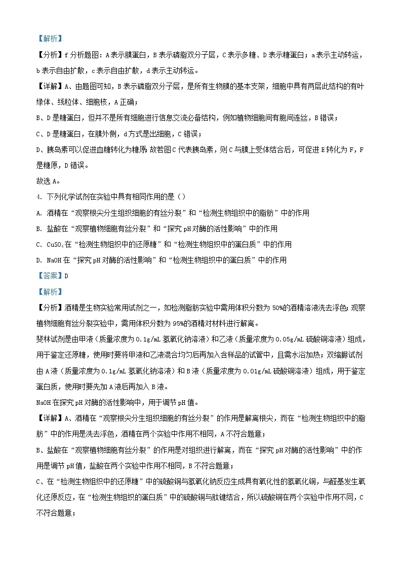 江苏省南京市2023_2024学年高二生物上学期10月月考试题含解析03