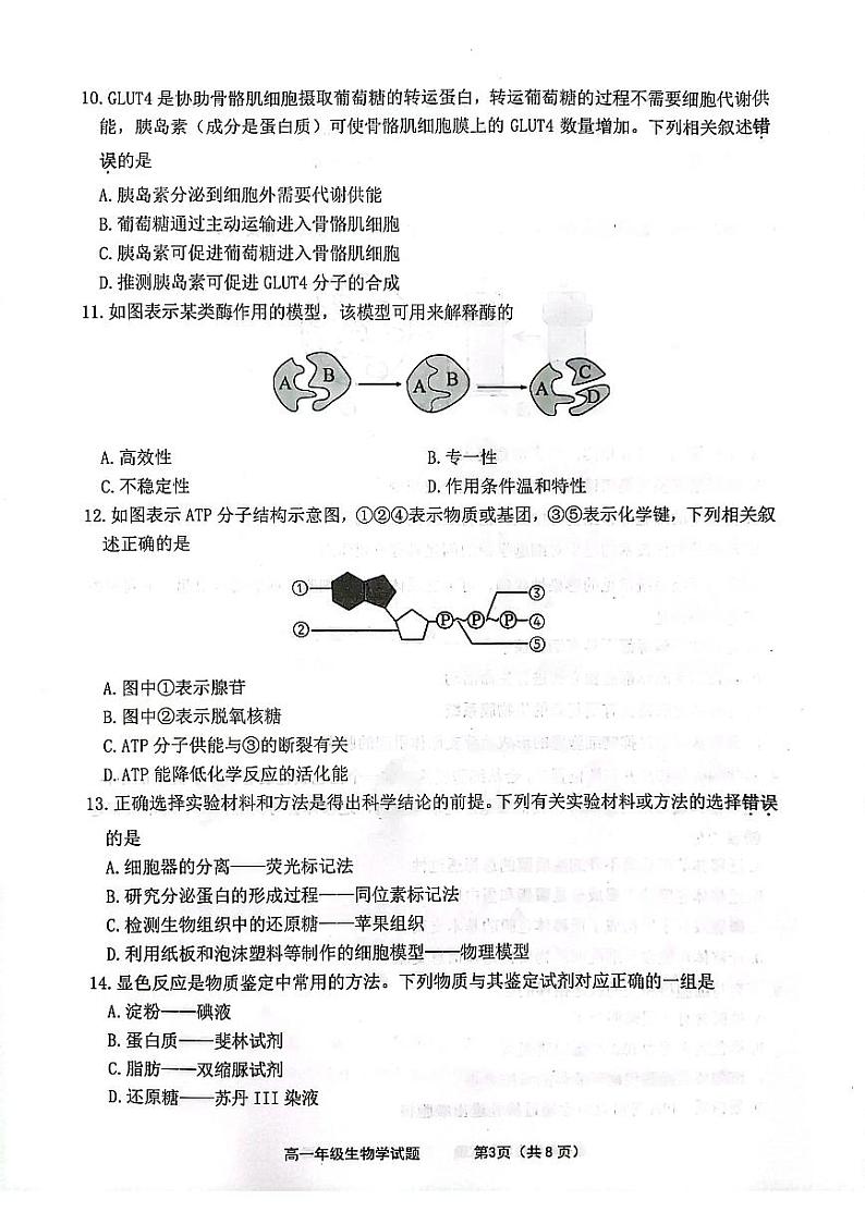 江苏省连云港市赣榆区2023_2024学年高一生物上学期11月期中试卷pdf无答案03