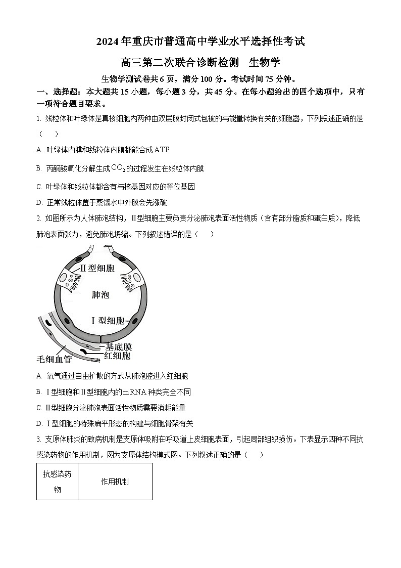 2024届重庆市高三二模生物试题（原卷版+解析版）01