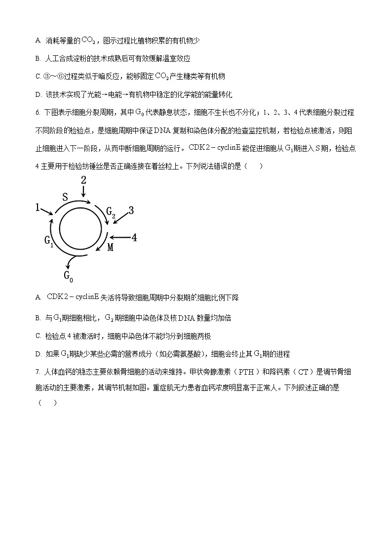 2024届重庆市高三二模生物试题（原卷版+解析版）03