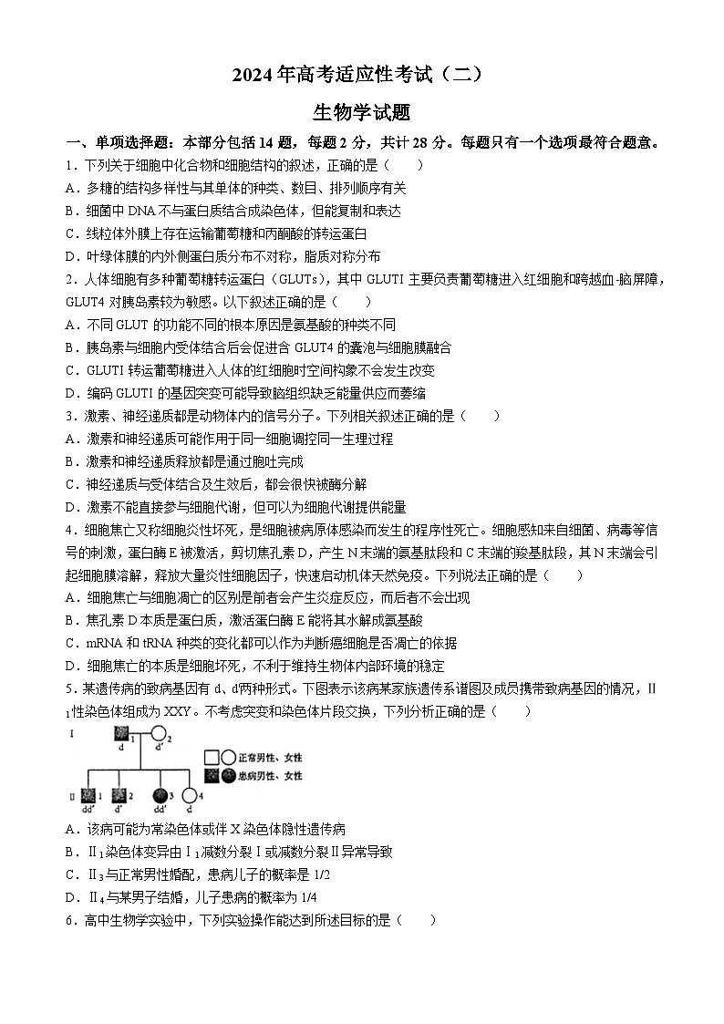 2024南通如皋高三下学期二模试题生物含答案01