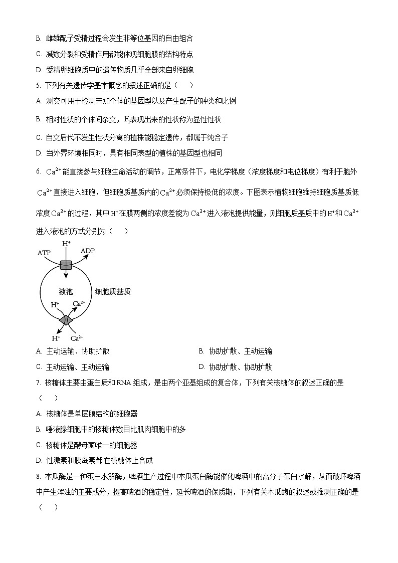 2024赣州十八县（）二十四校高一下学期期中考试生物试卷02