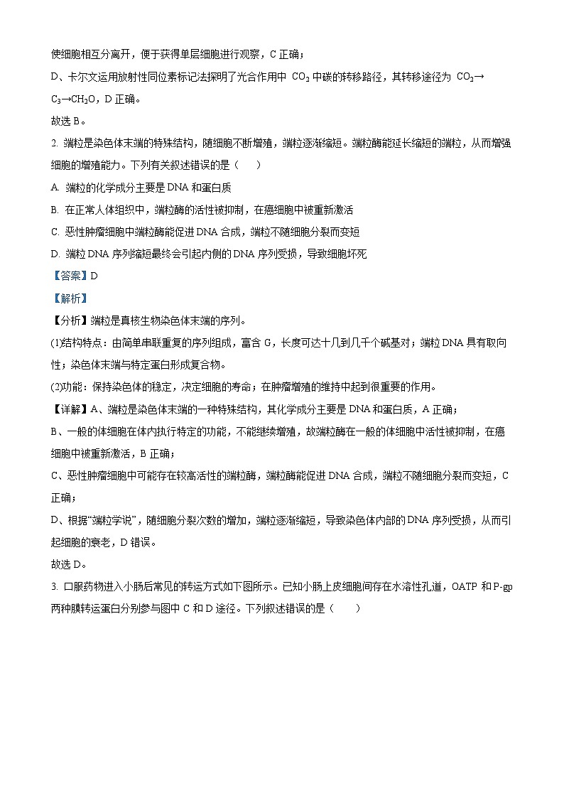 湖北省鄂西南三校2023-2024学年高二下学期3月联考生物试题（Word版附解析）02