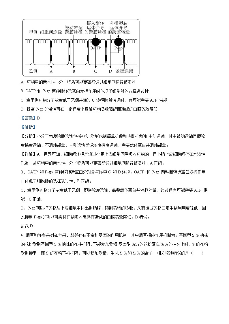 湖北省鄂西南三校2023-2024学年高二下学期3月联考生物试题（Word版附解析）03
