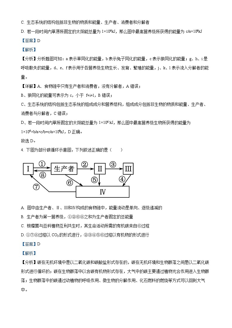 湖北省武汉市武钢三中2023-2024学年高二下学期3月月考生物试题（Word版附解析）03