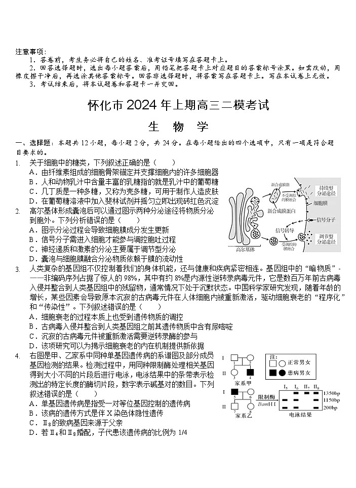 湖南省怀化市2024届高三下学期二模生物试题（Word版附答案）01