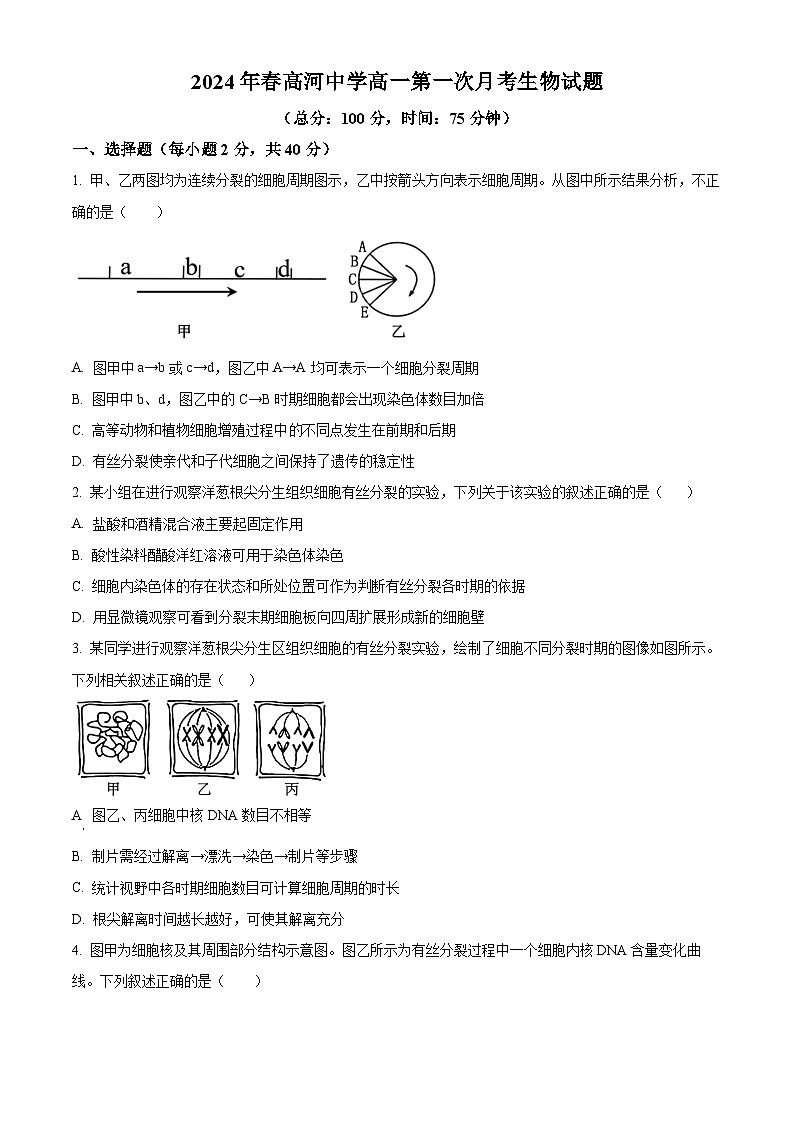 安徽省安庆市怀宁县安徽省怀宁县高河中学2023-2024学年高二下学期4月月考生物试题（原卷版）第1页