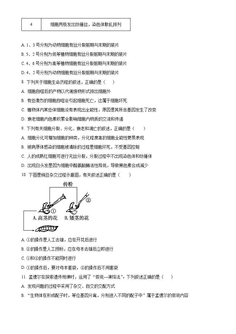 安徽省安庆市怀宁县安徽省怀宁县高河中学2023-2024学年高二下学期4月月考生物试题（原卷版）第3页