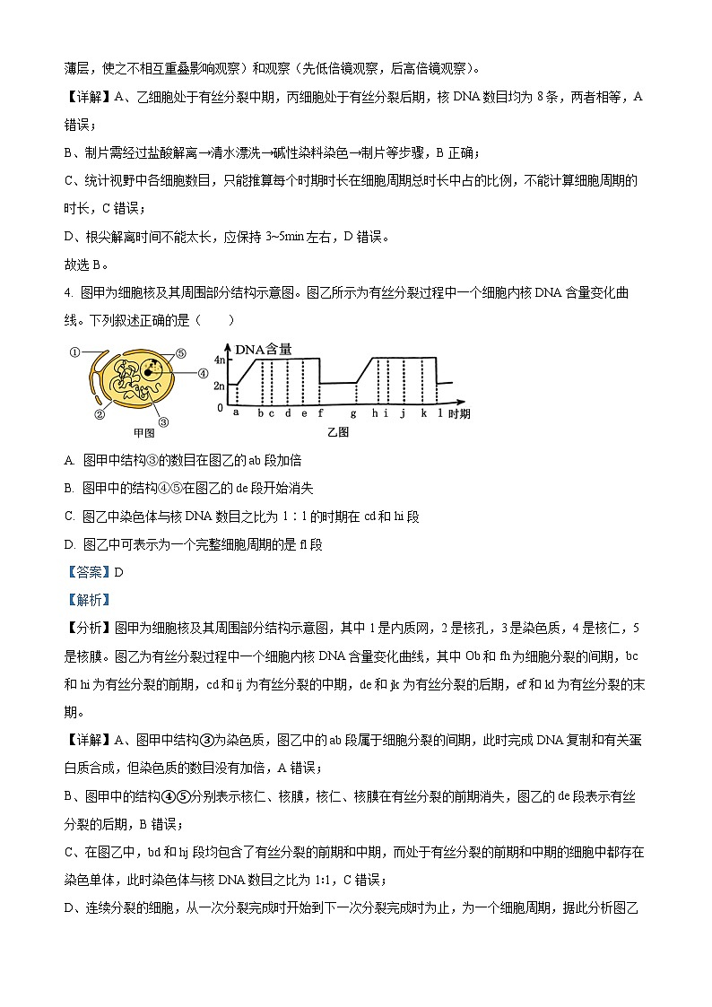 安徽省安庆市怀宁县安徽省怀宁县高河中学2023-2024学年高二下学期4月月考生物试题（解析版）第3页