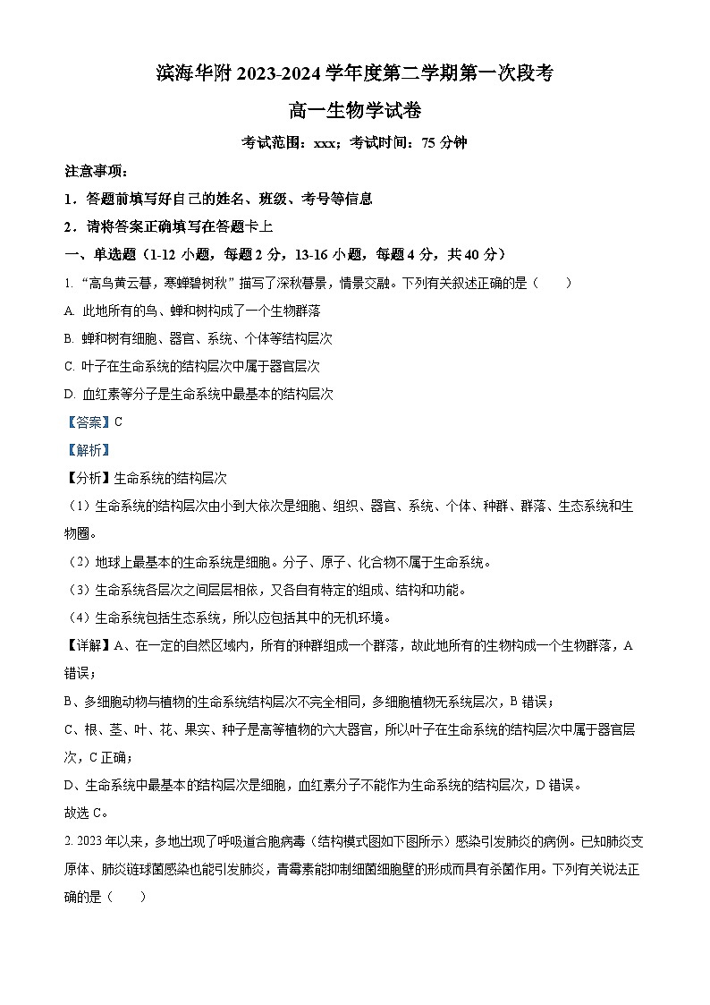 广东省茂名市电白区华南师范大学附属茂名滨海学校2023-2024学年高一下学期4月期中考试生物试题（解析版）第1页