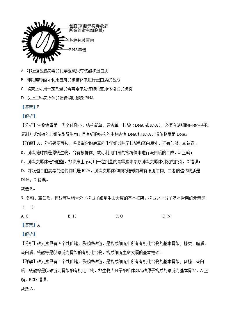 广东省茂名市电白区华南师范大学附属茂名滨海学校2023-2024学年高一下学期4月期中考试生物试题（解析版）第2页