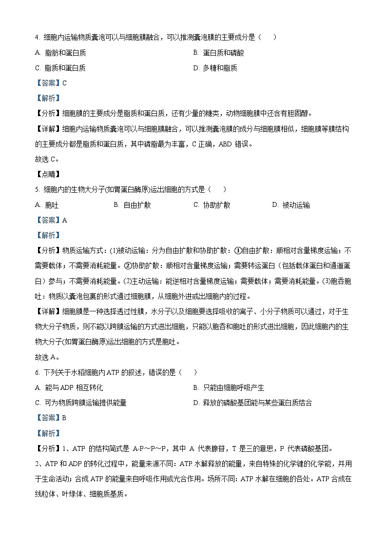 广东省茂名市电白区华南师范大学附属茂名滨海学校2023-2024学年高一下学期4月期中考试生物试题（解析版）第3页
