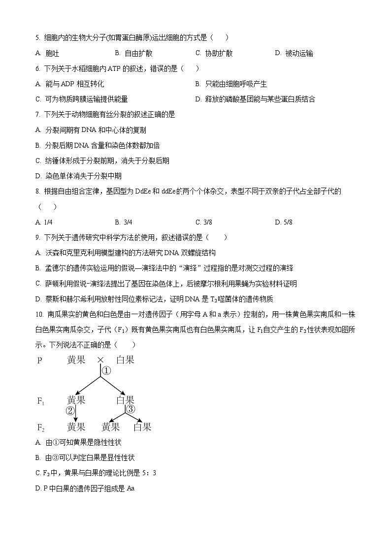 广东省茂名市电白区华南师范大学附属茂名滨海学校2023-2024学年高一下学期4月期中考试生物试题（原卷版）第2页