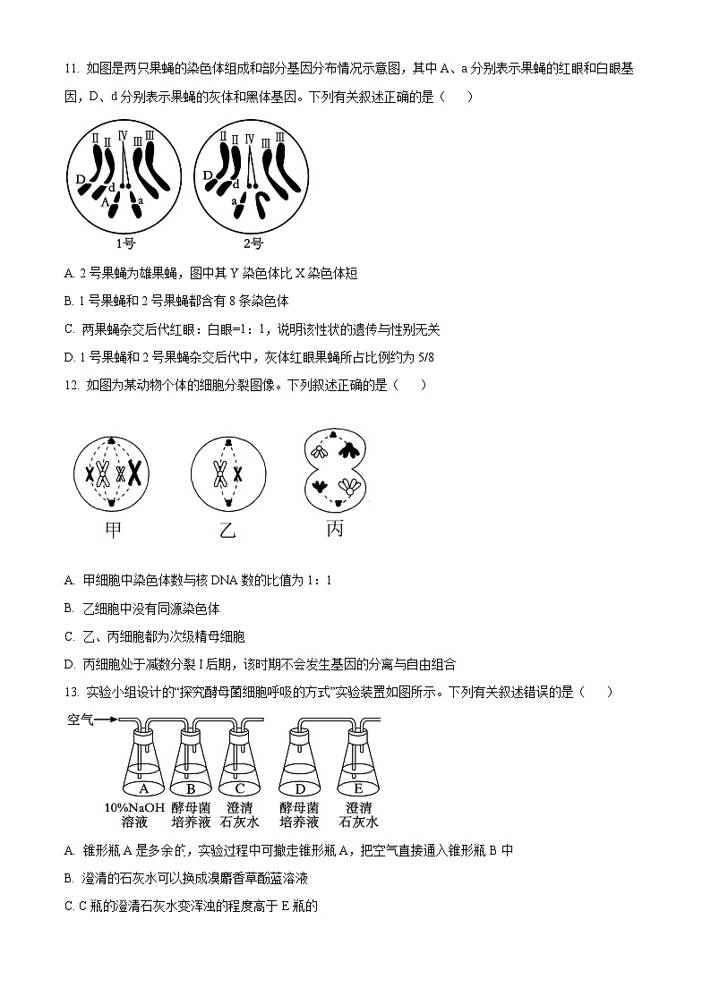 广东省茂名市电白区华南师范大学附属茂名滨海学校2023-2024学年高一下学期4月期中考试生物试题（原卷版）第3页