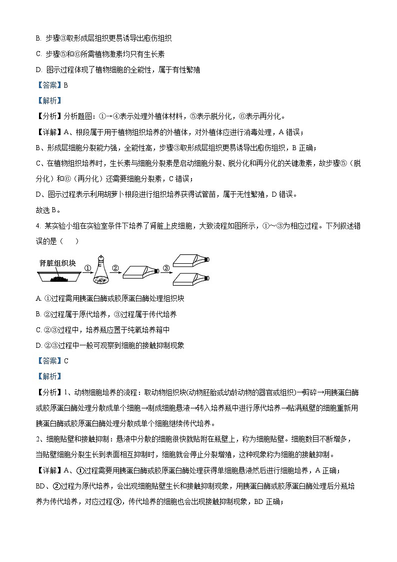 河南省河南名校联考2023-2024学年高二下学期4月月考生物试题（解析版）第3页