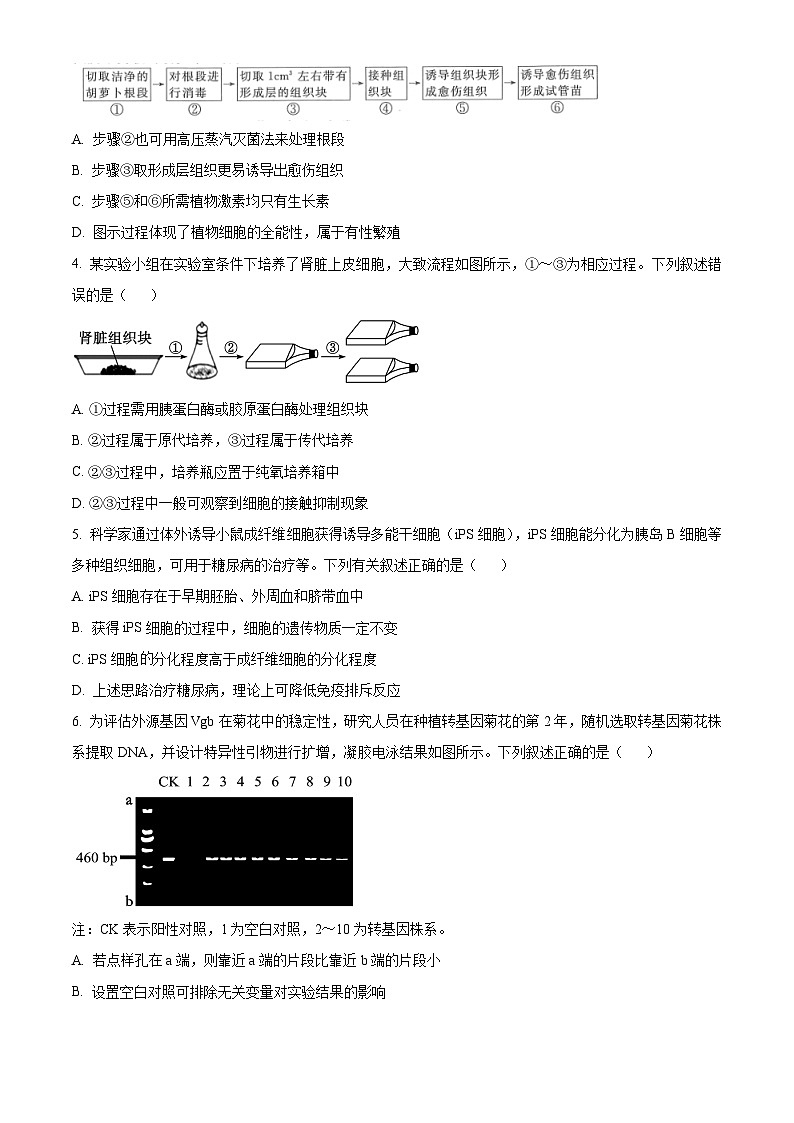 河南省河南名校联考2023-2024学年高二下学期4月月考生物试题（原卷版）第2页