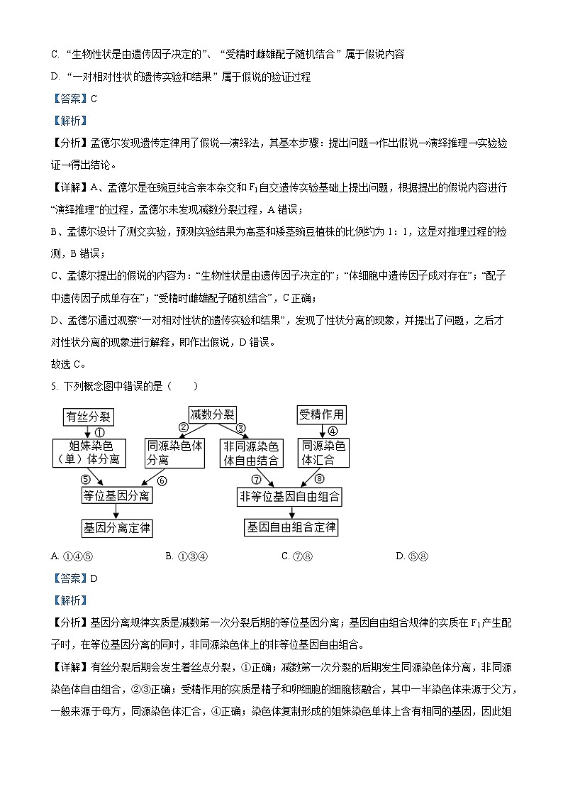 辽宁省锦州市北镇市高级中学2023-2024学年高一下学期4月月考生物试题（原卷版+解析版）03