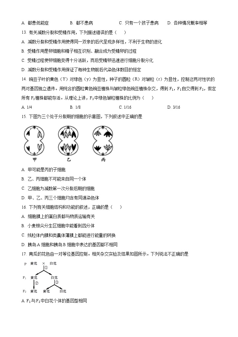 四川省眉山市东坡区多悦高级中学校2023-2024学年高一下学期4月期中生物试题（原卷版+解析版）03