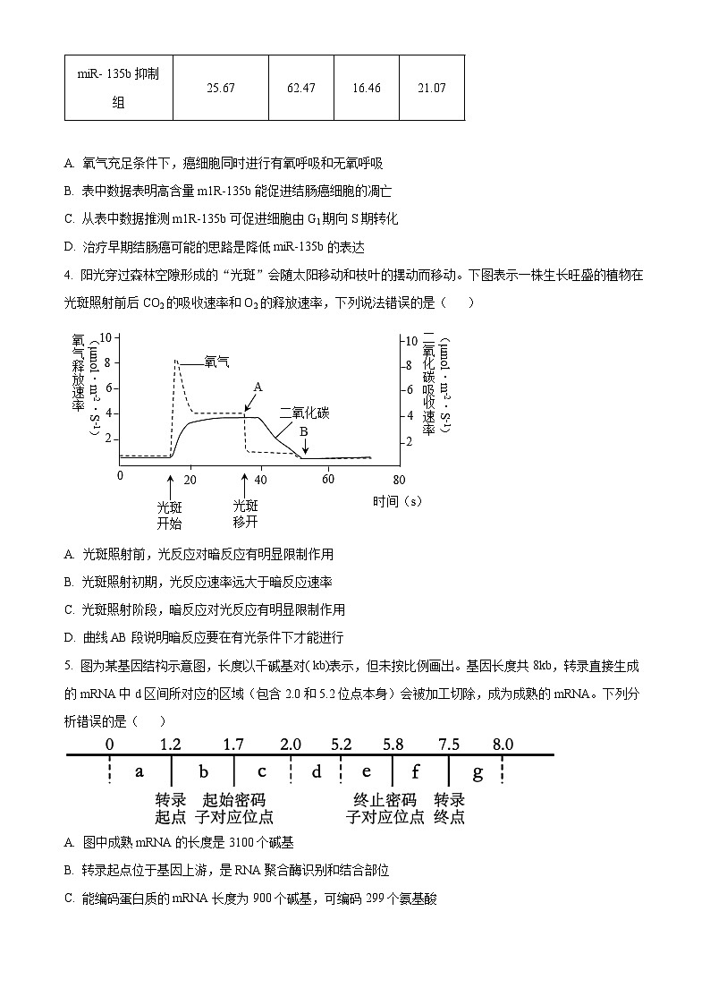 重庆市渝中区巴蜀中学校2023-2024学年高三下学期4月期中生物试题（原卷版）第2页