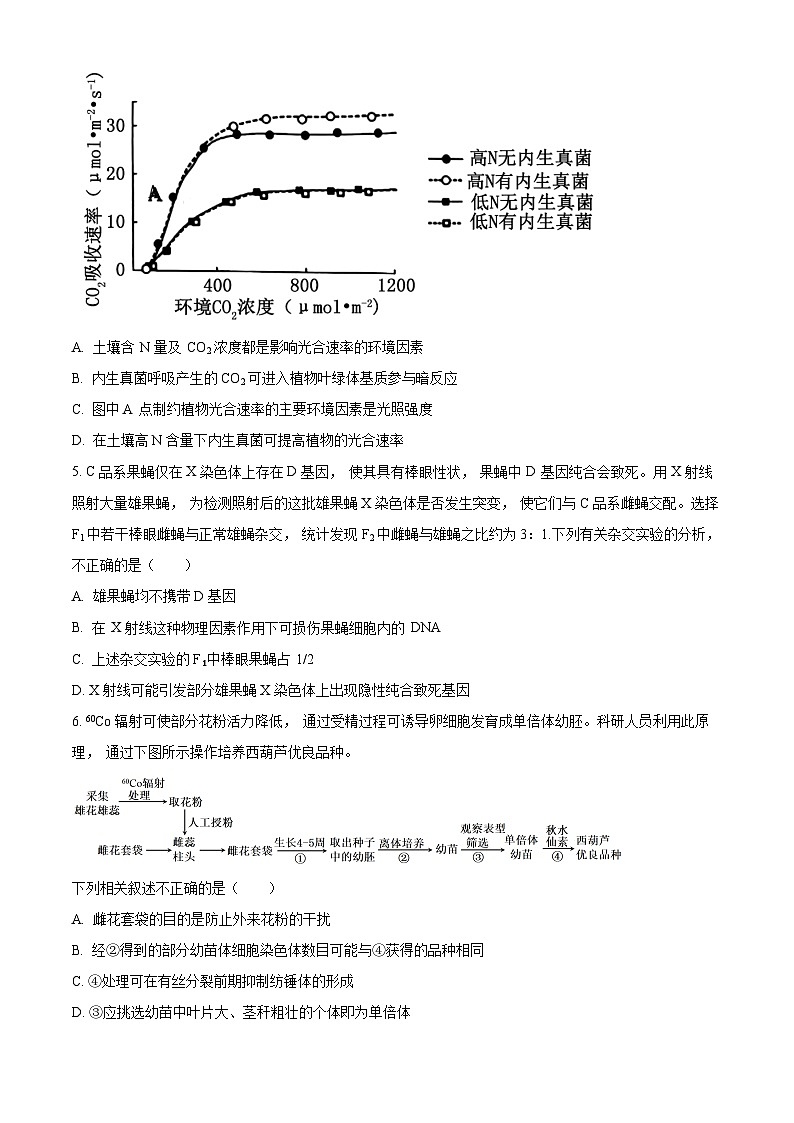 2024届北京市海淀区高三一模生物试题（原卷版+解析版）02