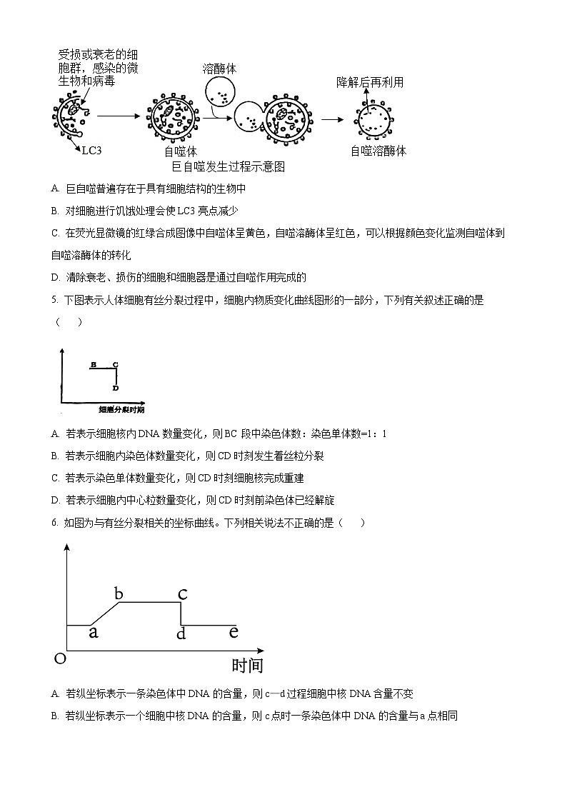 四川省巴中市平昌县平昌中学2023-2024年学年高一下学期第一次月考生物试题（原卷版）第2页