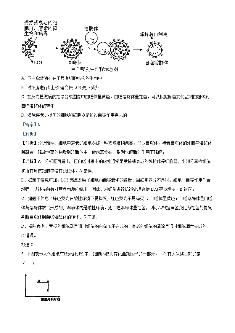 四川省巴中市平昌县平昌中学2023-2024年学年高一下学期第一次月考生物试题（解析版）第3页