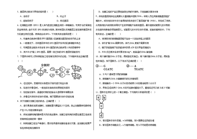 吉林省长春外国语学校2023-2024学年高二下学期4月月考生物试题（Word版附答案）02