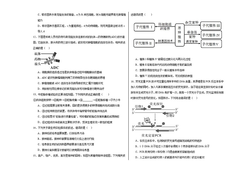 吉林省长春外国语学校2023-2024学年高二下学期4月月考生物试题（Word版附答案）03