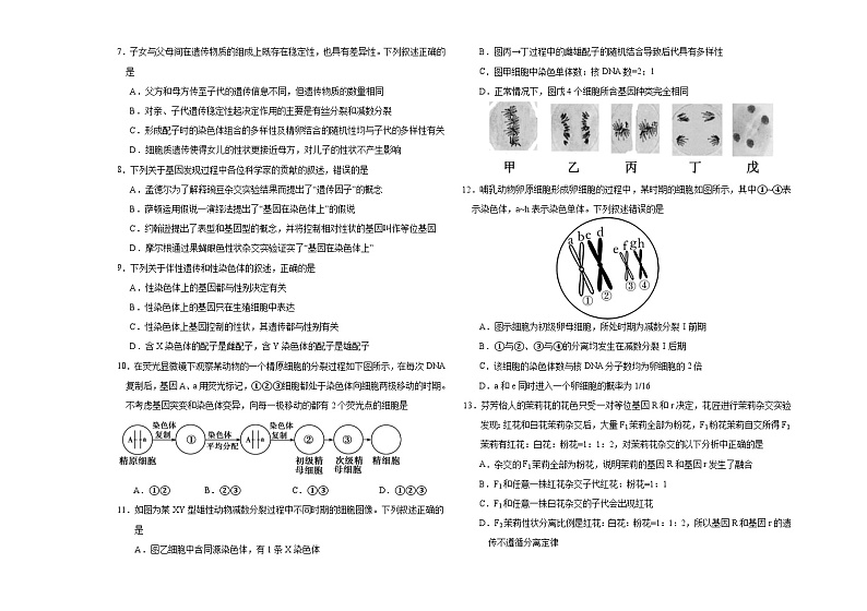 吉林省长春外国语学校2023-2024学年高一下学期4月月考生物试题（Word版附答案）02