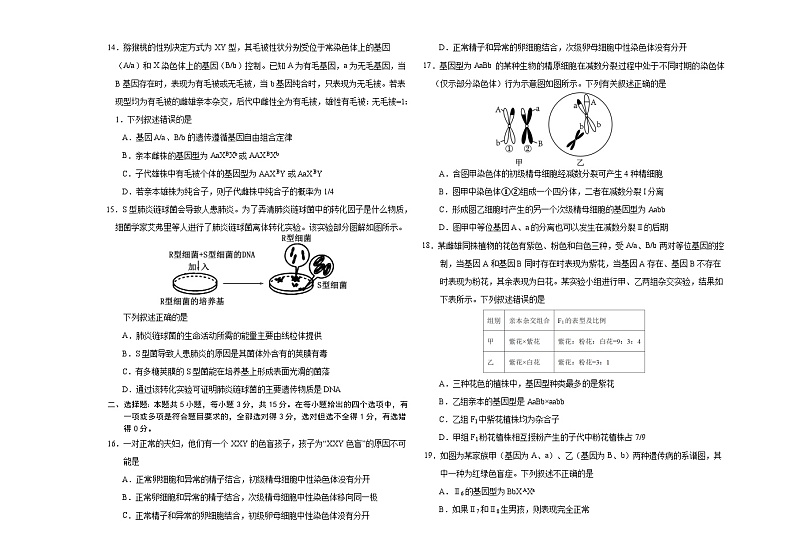 吉林省长春外国语学校2023-2024学年高一下学期4月月考生物试题（Word版附答案）03