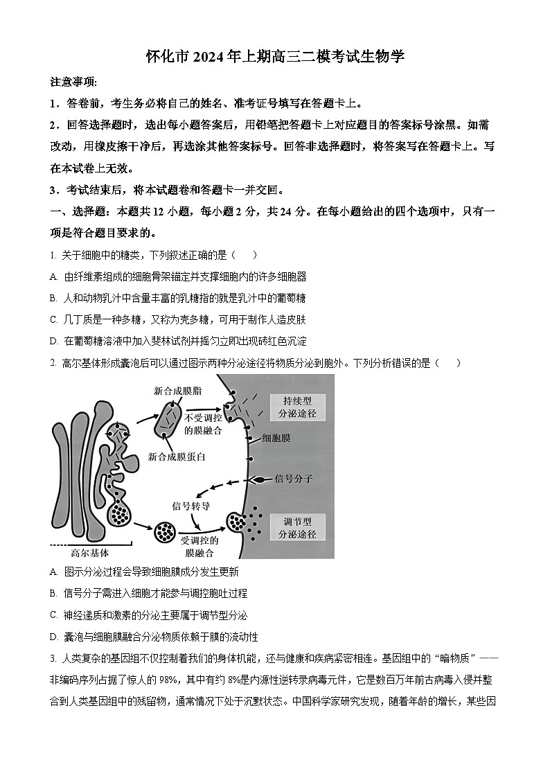2024届湖南省怀化市高三二模生物试题（原卷版+解析版）01