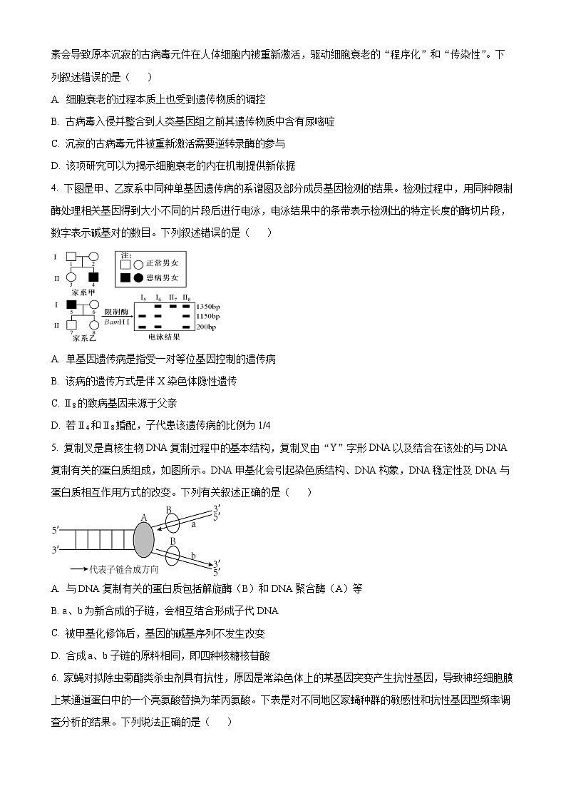 2024届湖南省怀化市高三二模生物试题（原卷版+解析版）02