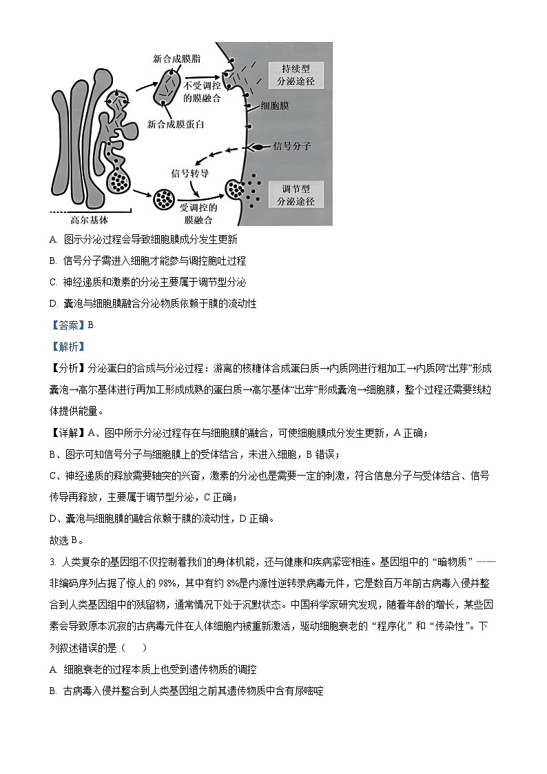 2024届湖南省怀化市高三二模生物试题（原卷版+解析版）02