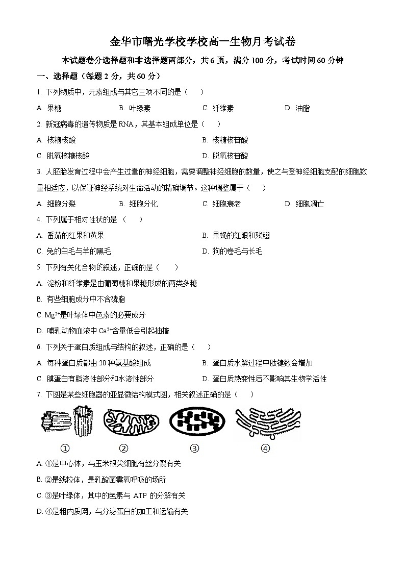 浙江省金华市金东区金华市曙光学校2023-2024学年高一下学期4月月考生物试题（原卷版）第1页