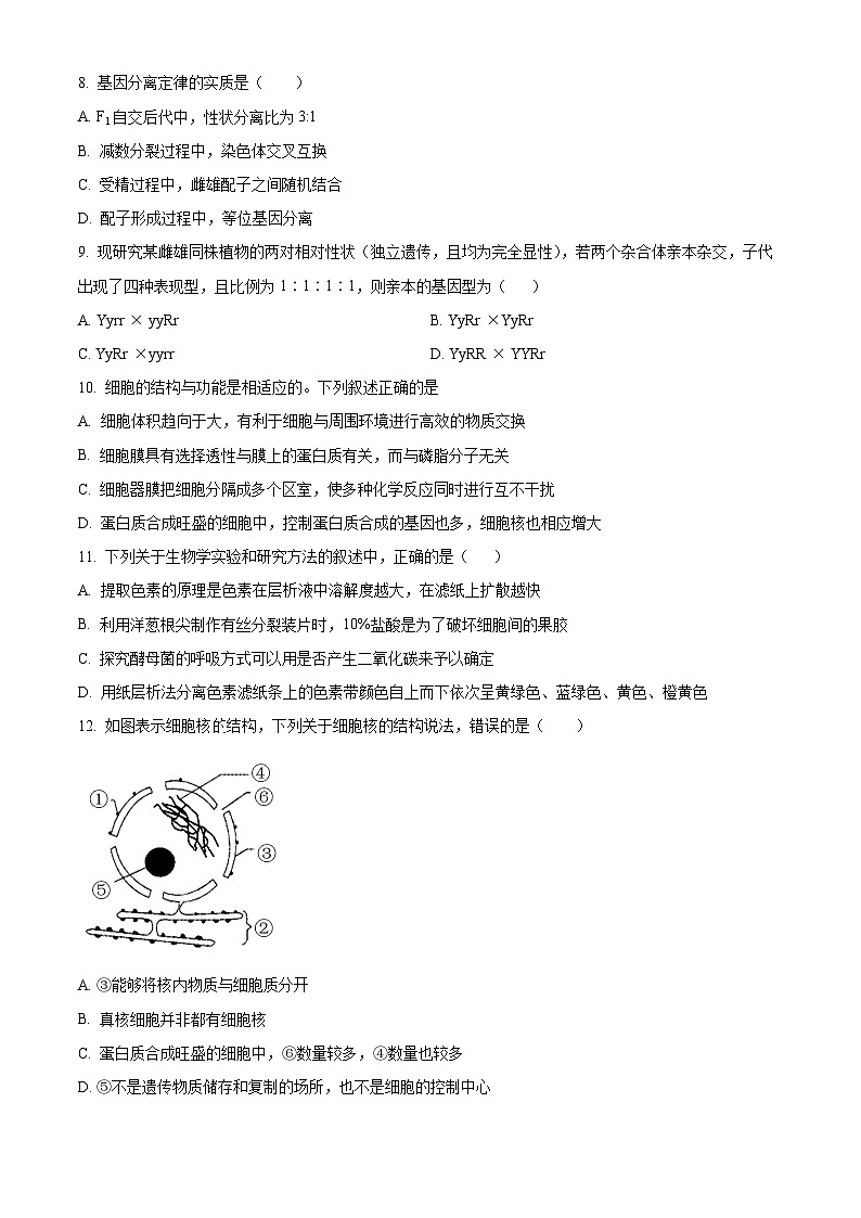 浙江省金华市金东区金华市曙光学校2023-2024学年高一下学期4月月考生物试题（原卷版）第2页