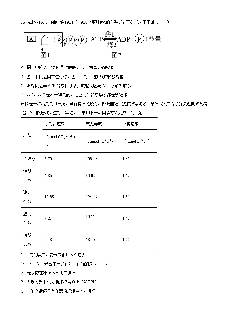 浙江省金华市金东区金华市曙光学校2023-2024学年高一下学期4月月考生物试题（原卷版）第3页