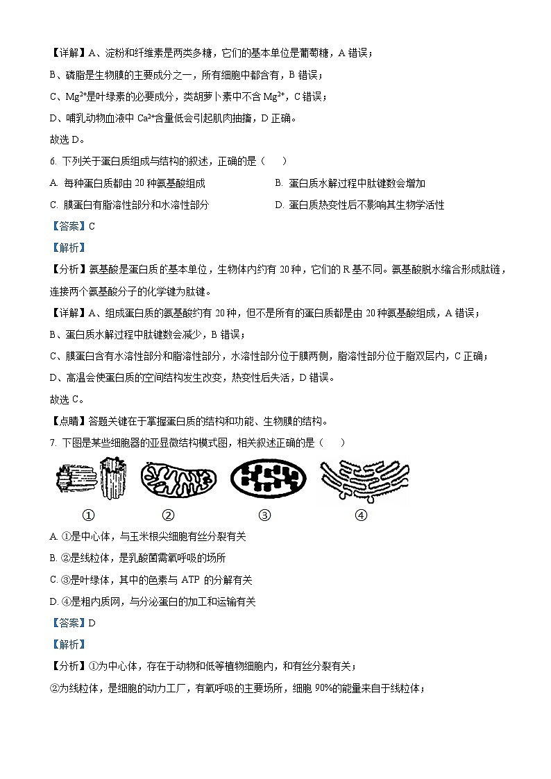 浙江省金华市金东区金华市曙光学校2023-2024学年高一下学期4月月考生物试题（解析版）第3页
