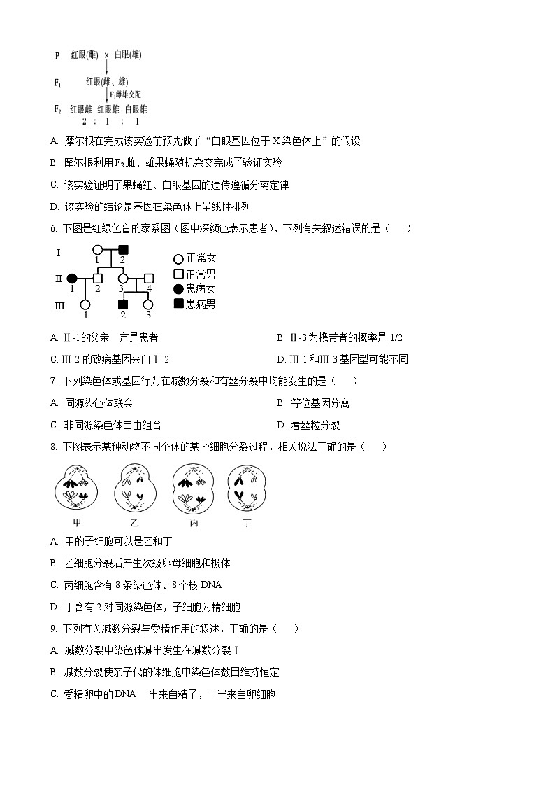 辽宁省沈阳市第二中学2023-2024学年高一下学期4月月考生物试题（原卷版+解析版）02