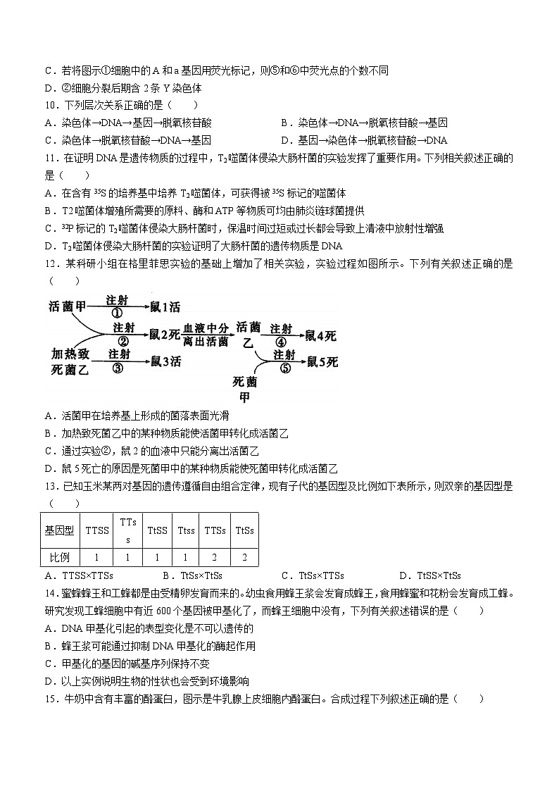 江苏省泰州中学2023-2024学年高一下学期4月期中考试生物试卷（Word版附答案）03