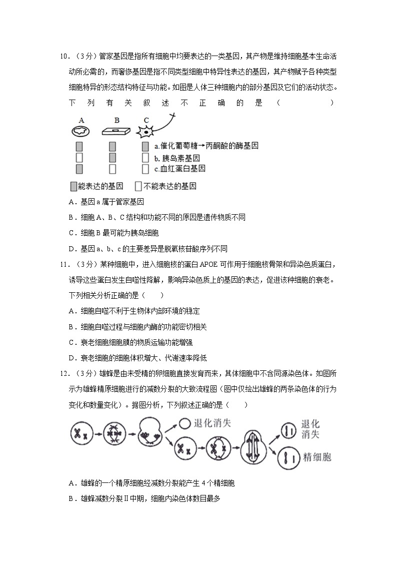 2022-2023学年广东省深圳市宝安区龙华中学高一（下）期中生物试卷03
