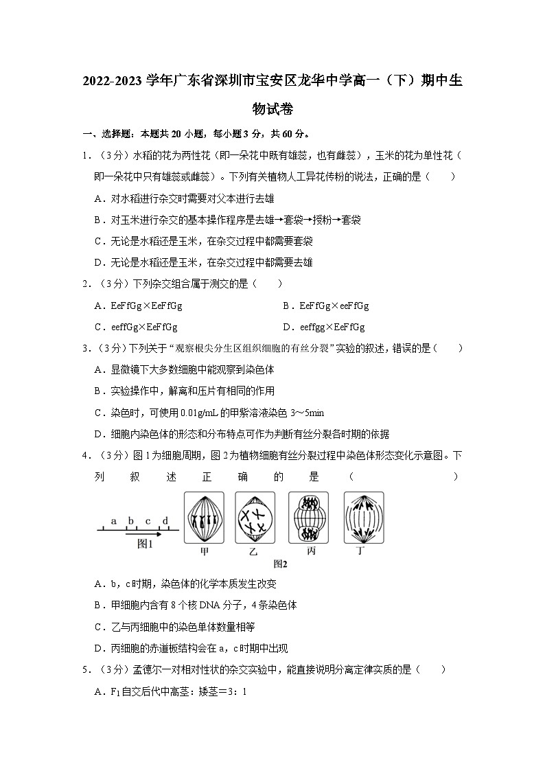 2022-2023学年广东省深圳市宝安区龙华中学高一（下）期中生物试卷01