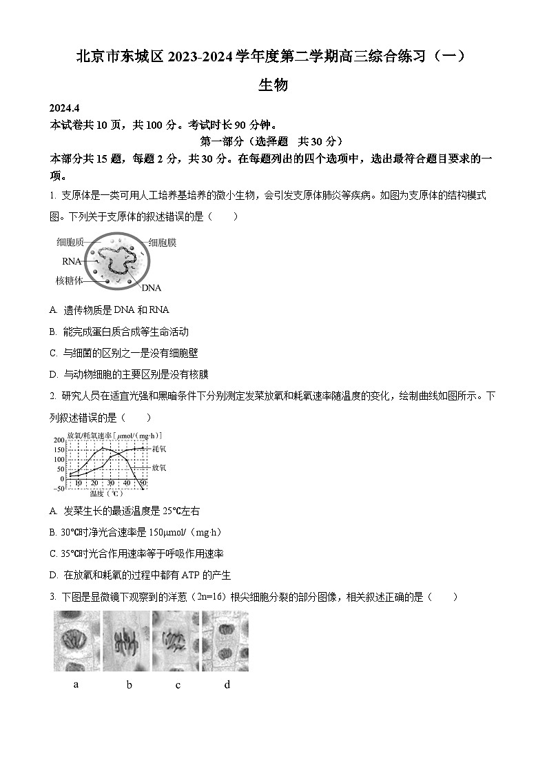 2023-2024学年北京市东城区高三下学期综合练习(高考一模)生物试卷含答案01
