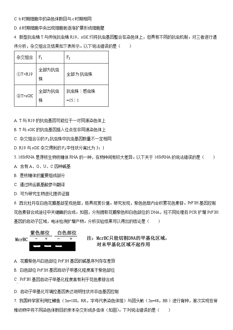 2023-2024学年北京市东城区高三下学期综合练习(高考一模)生物试卷含详解02